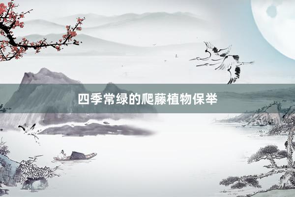 四季常绿的爬藤植物保举