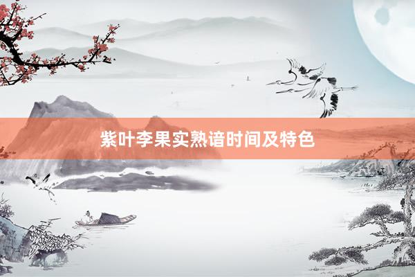 紫叶李果实熟谙时间及特色