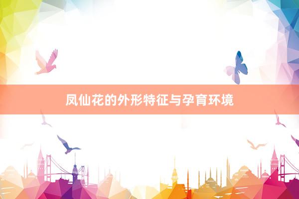 凤仙花的外形特征与孕育环境