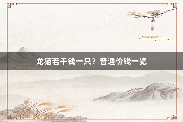 龙猫若干钱一只？普通价钱一览